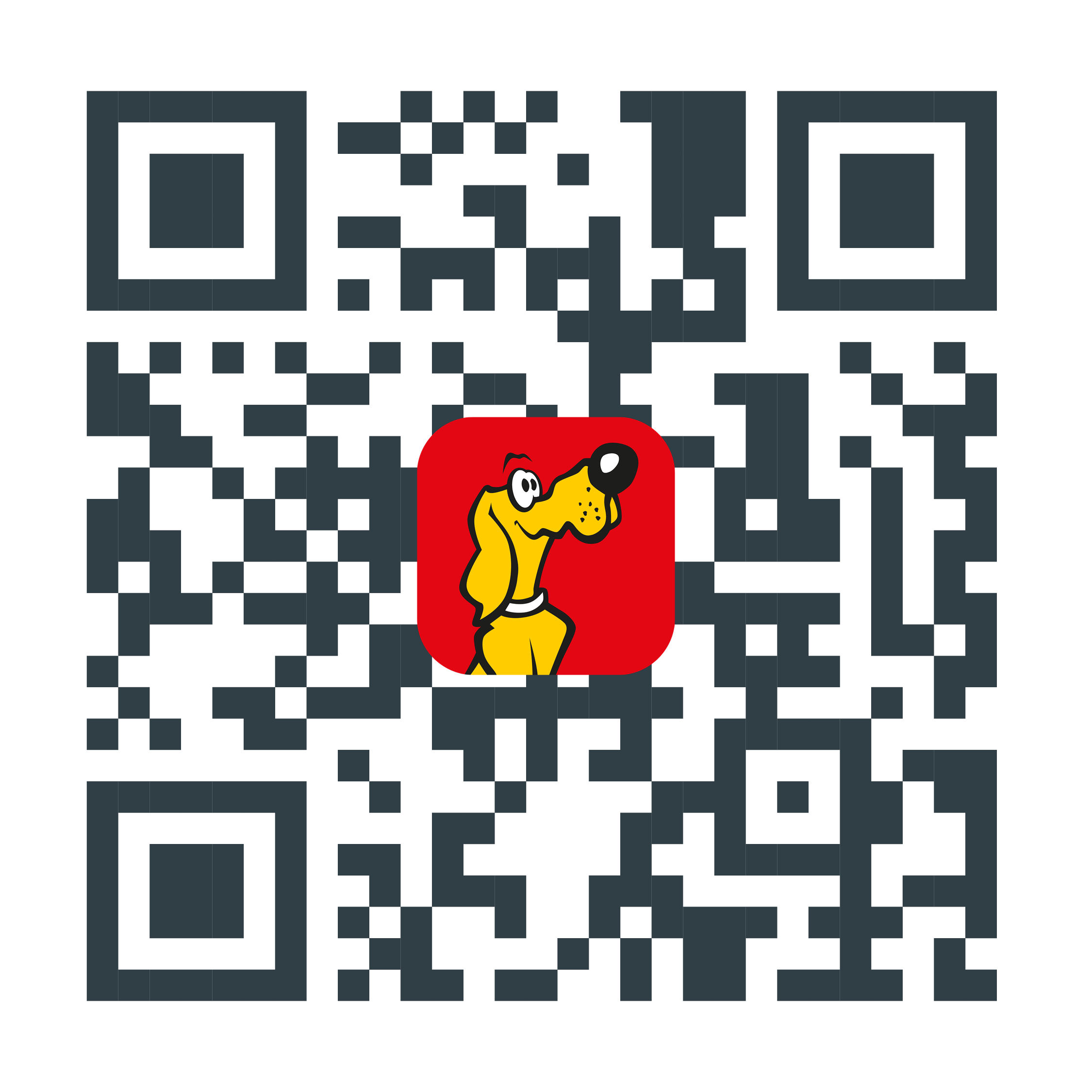 DFH_App_Werbemittel_qr-code