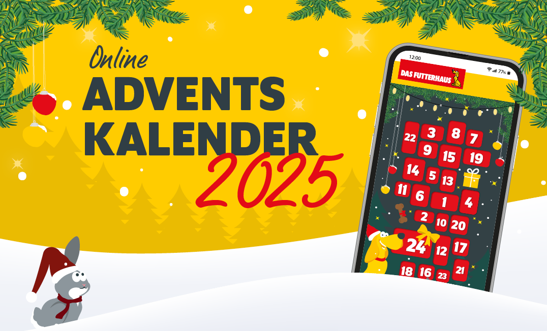 Online Adventskalender 2025 - Schon neugierig?
