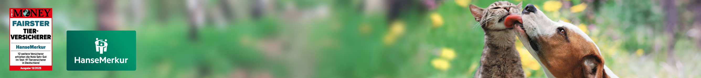 HanseMerkur Tier-OP-Versicherung
