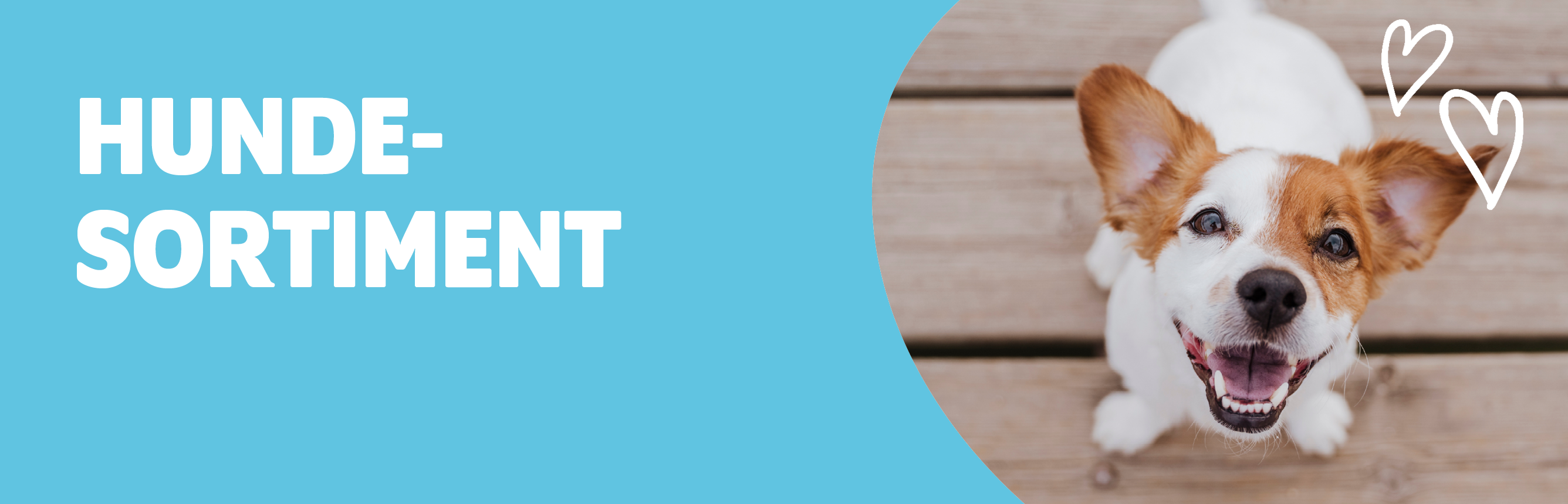 Sortiment Kategorie Hund