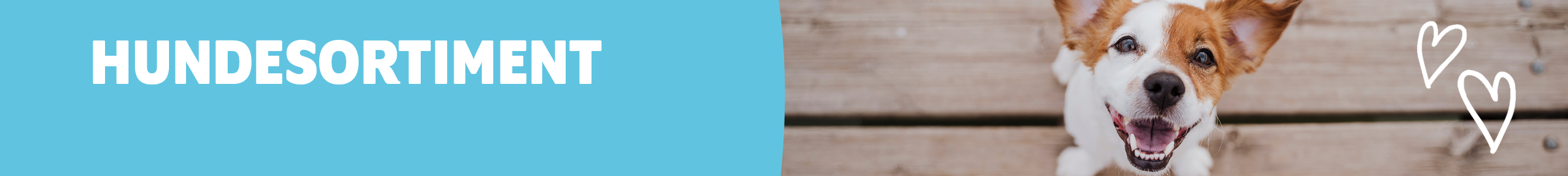 Kategorie Hundesortiment
