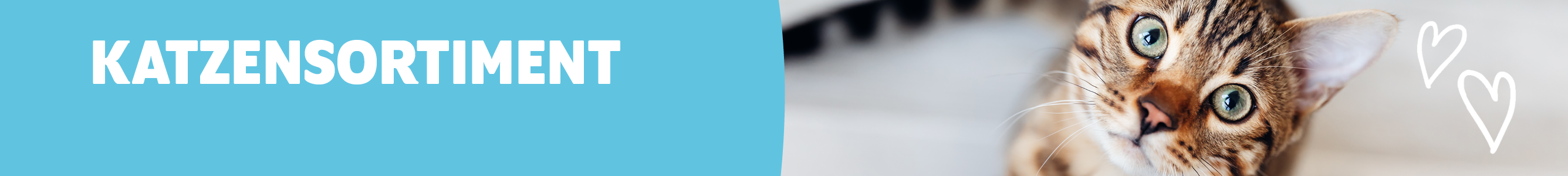Kategorie Katzensortiment