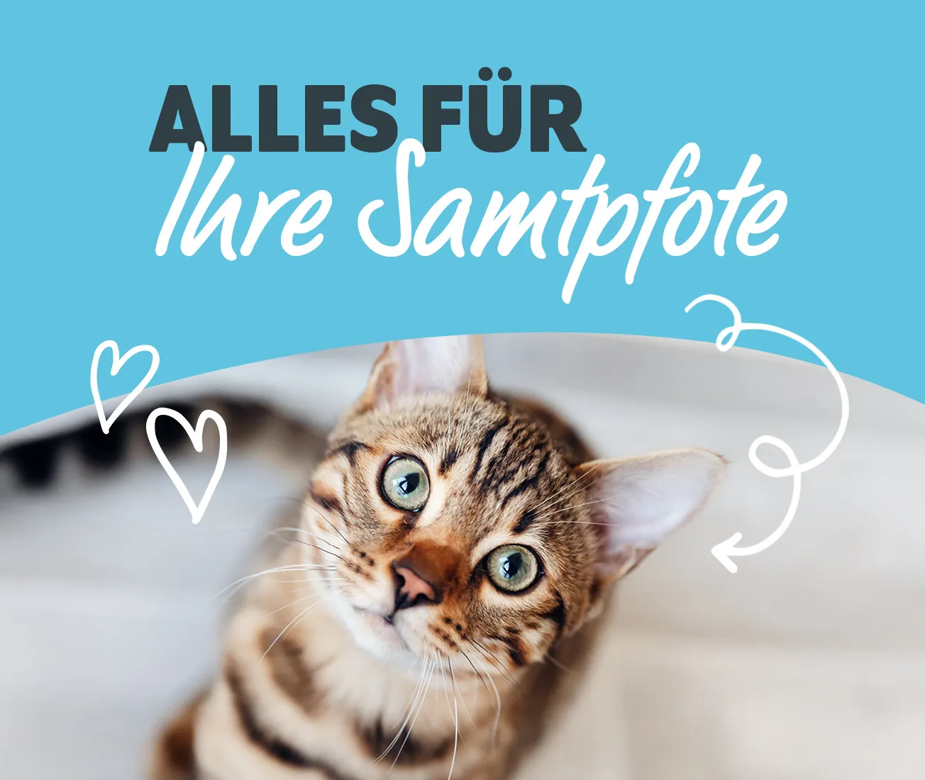 Tierkategorie Teaser Onlineshop