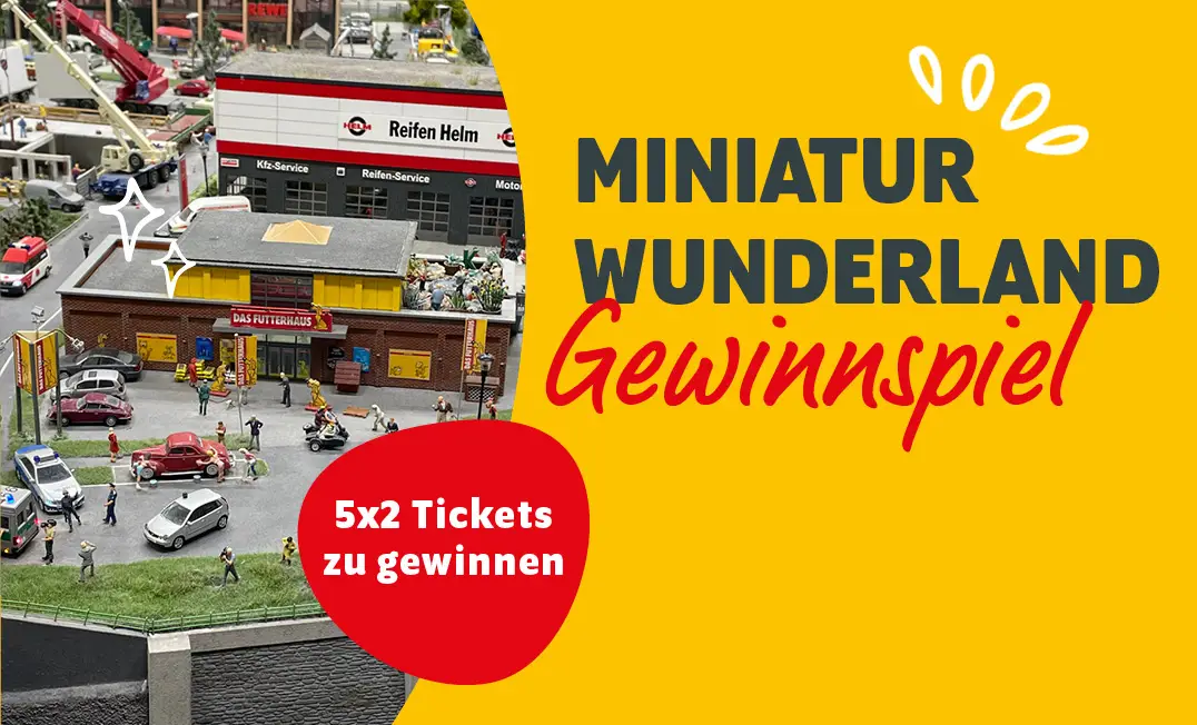 Miniatur Gewinnspiel Insta