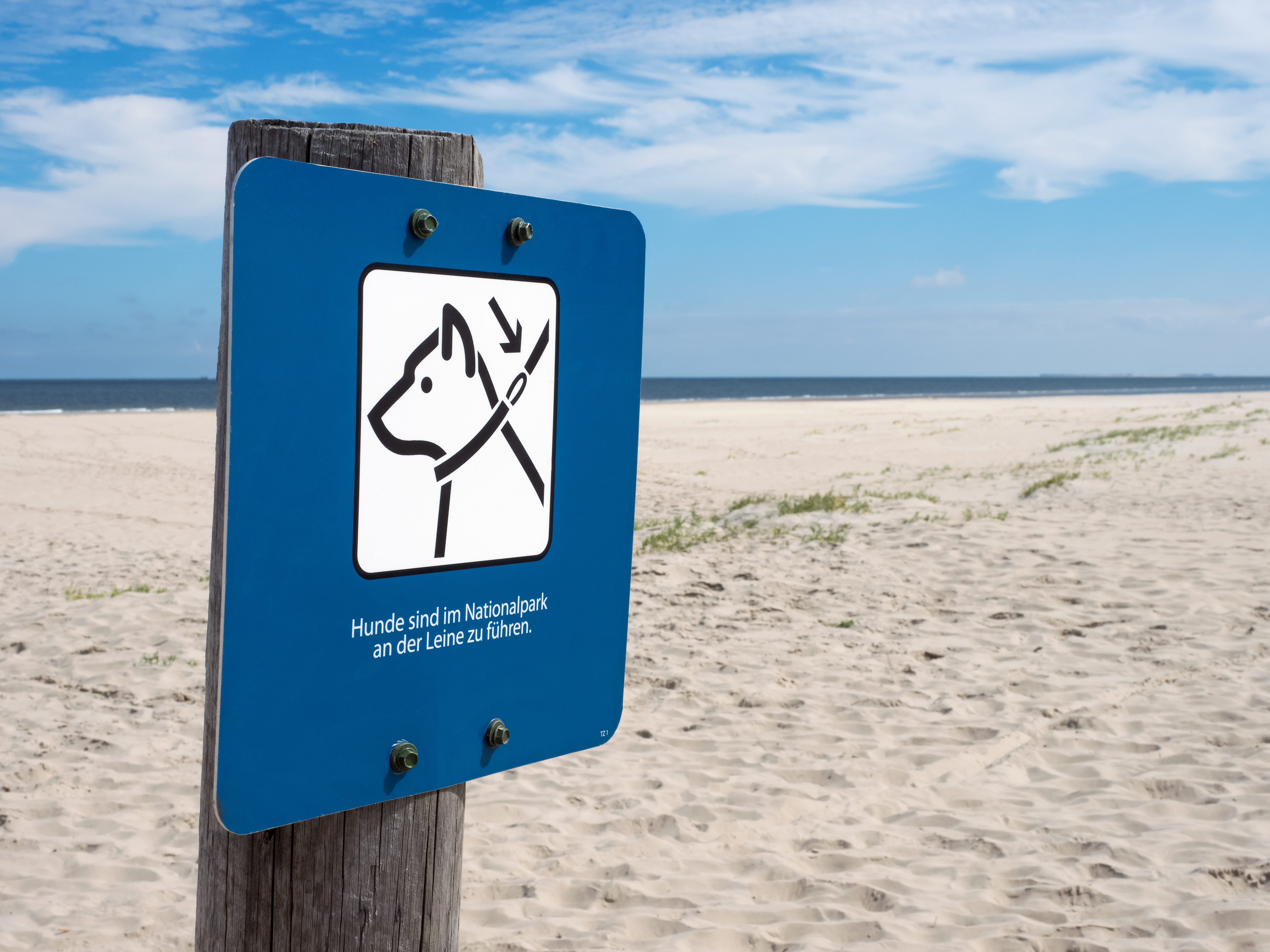 Leinenpflicht am Strand