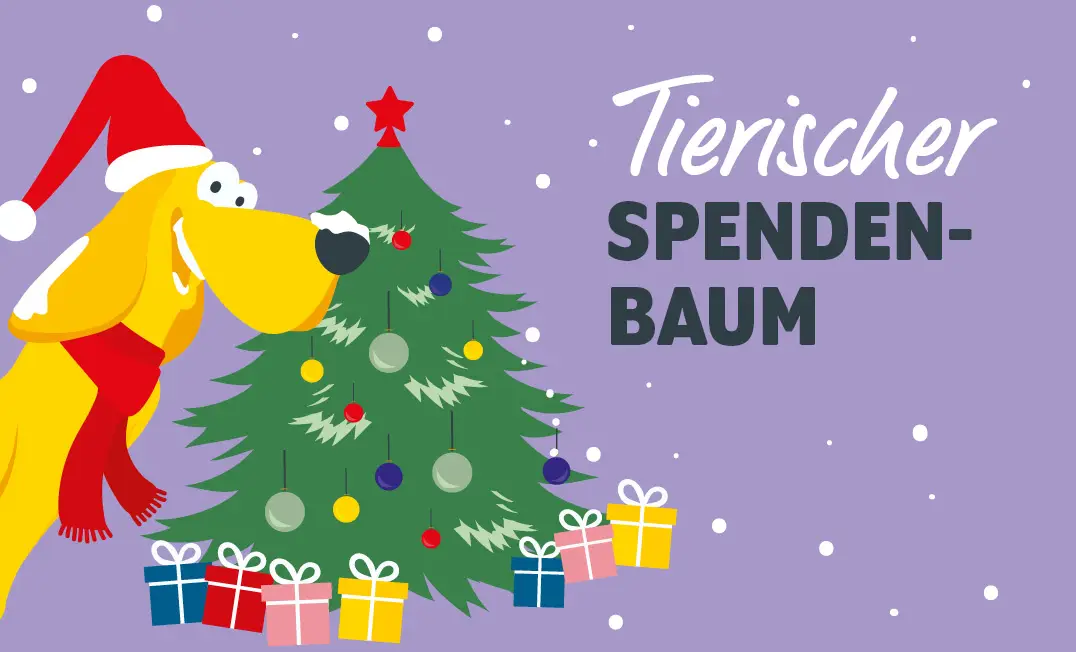 Weihnachtsaktion Spendenbaum