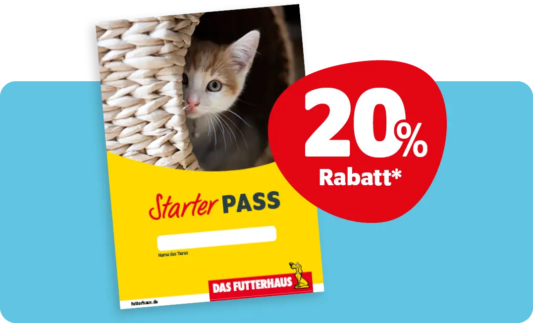 Starterpass Katzen