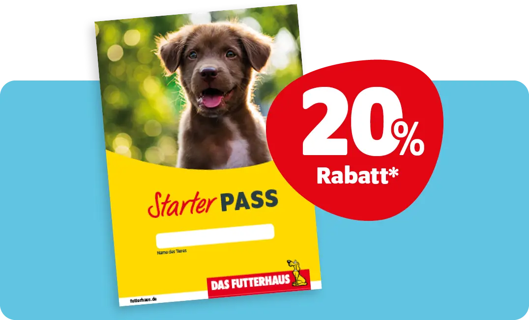 Starterpass Hunde