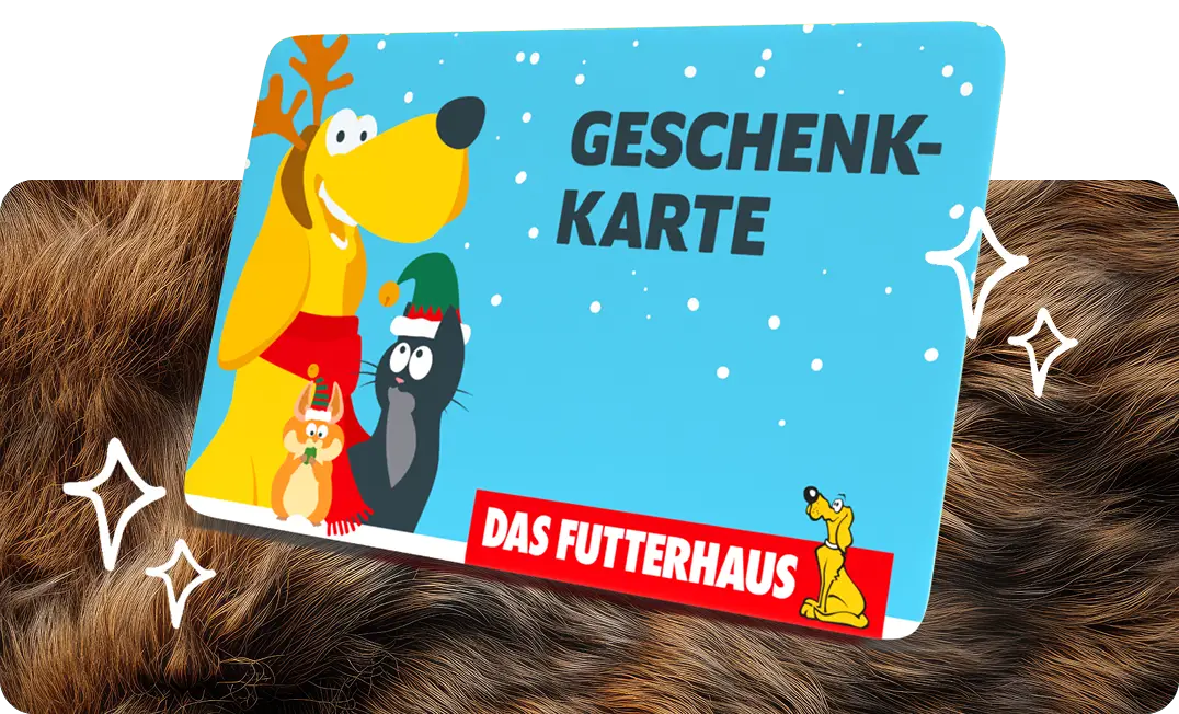 Weihnachten Geschenkkarte