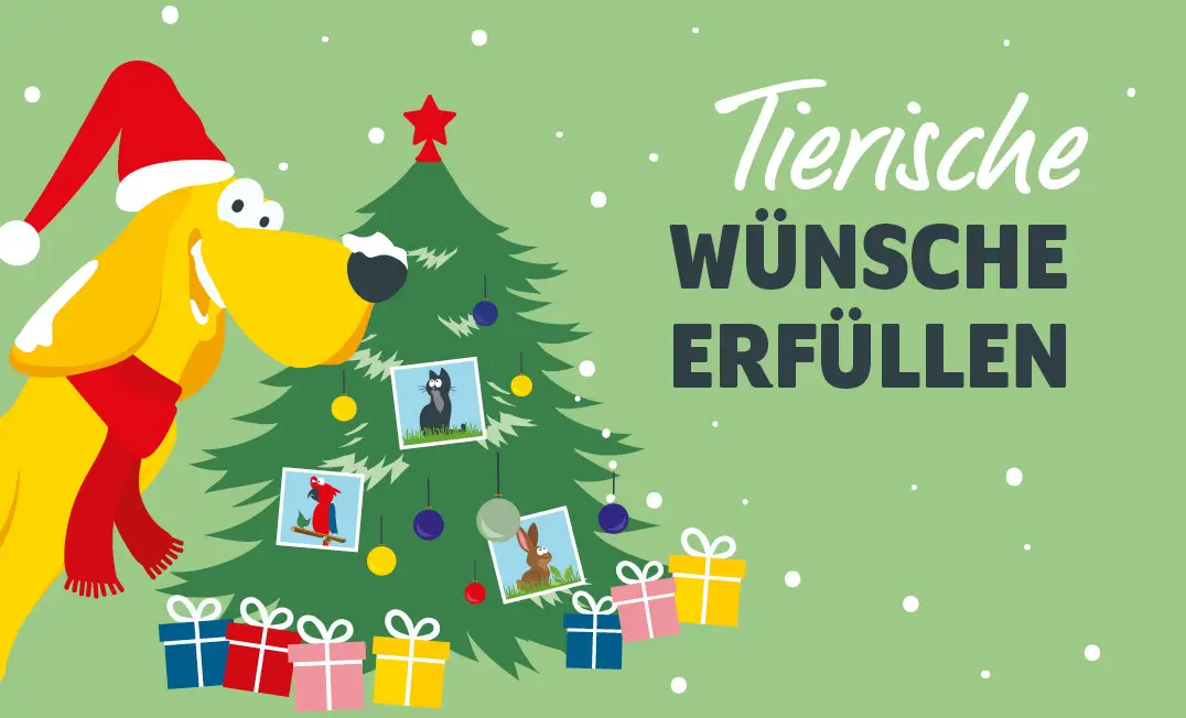 Weihnachtsaktion Wunschbaum