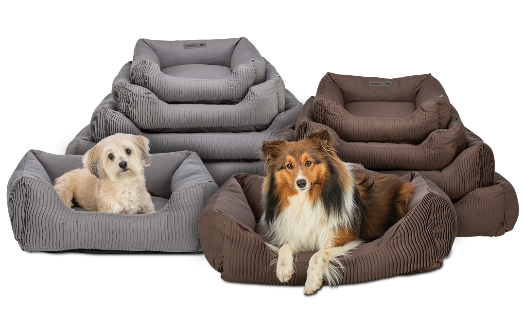 Neuheiten: TRIXIE Bett Marley für Hunde