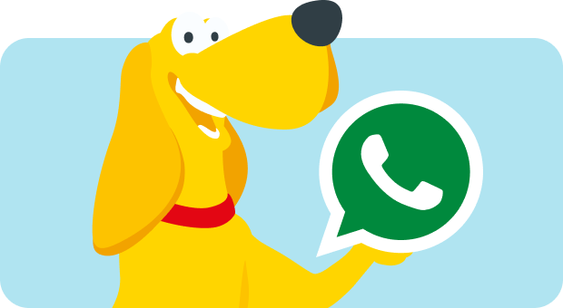 Whatsapp DAS Futterhaus