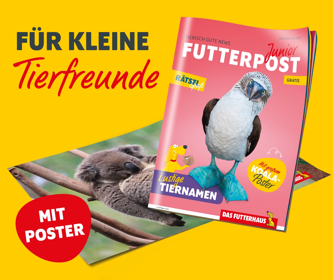 FUTTERPOST Junior Ausgabe 6|25