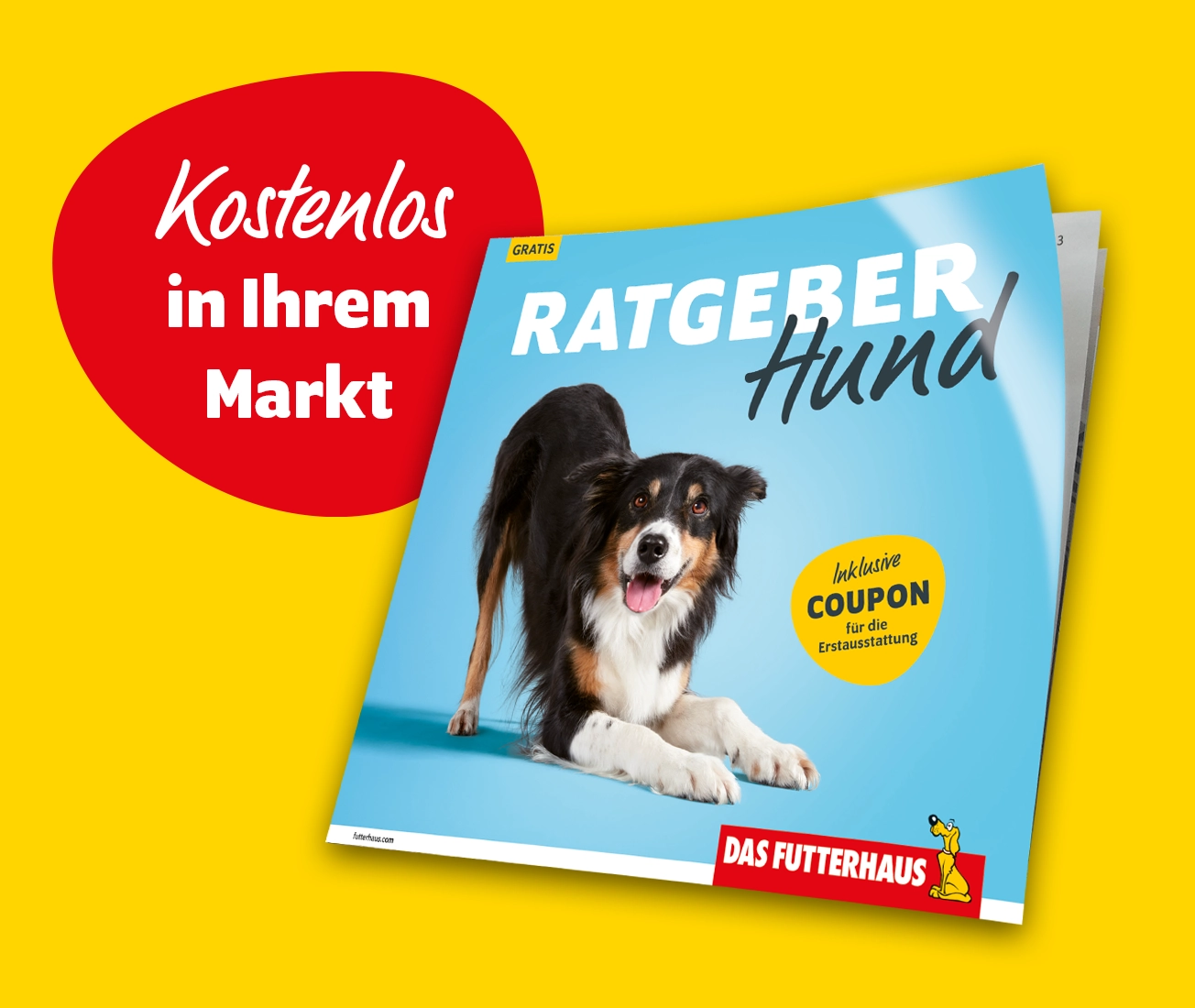 RatgeberHund_Markt