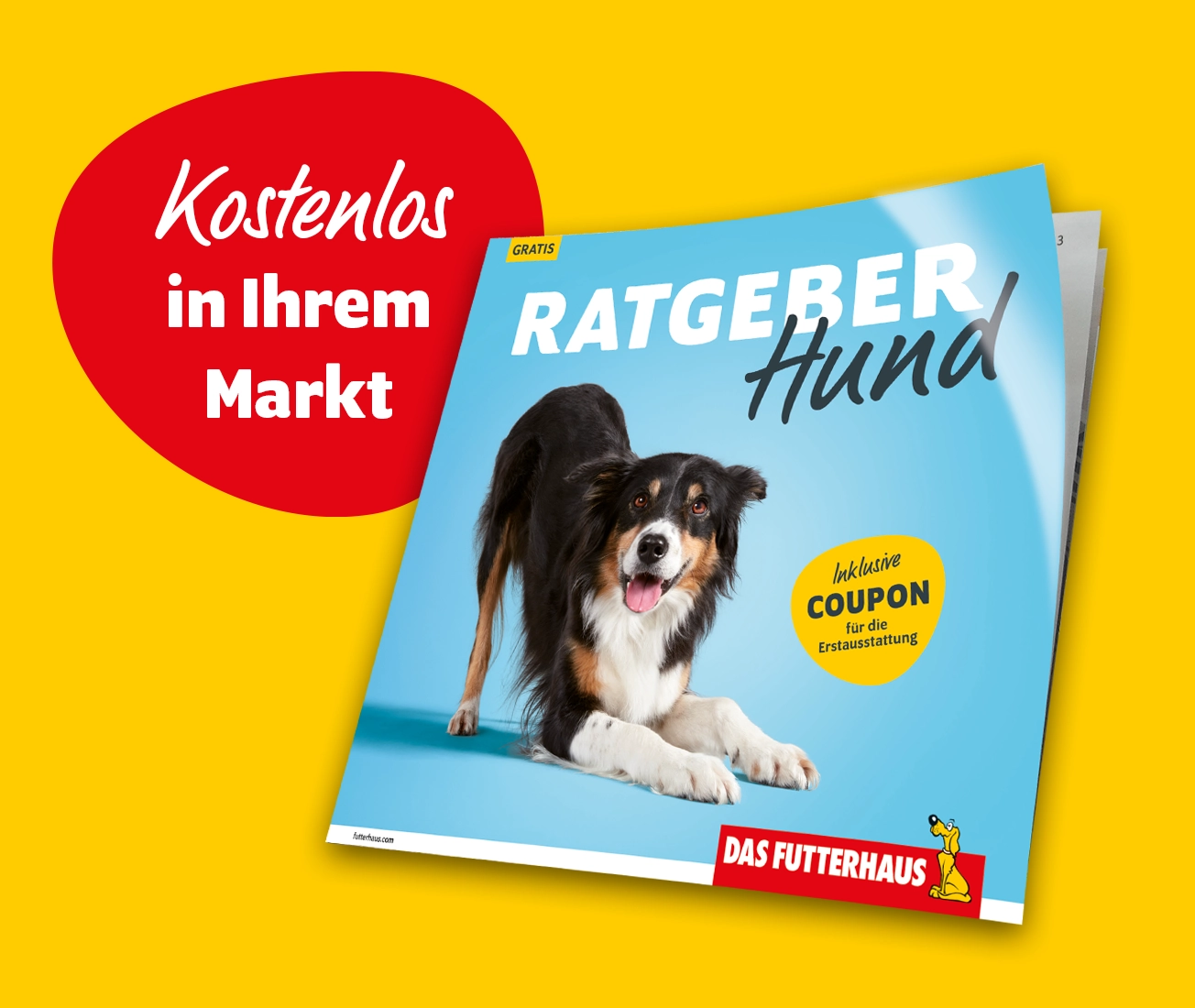 Ratgeber Hund