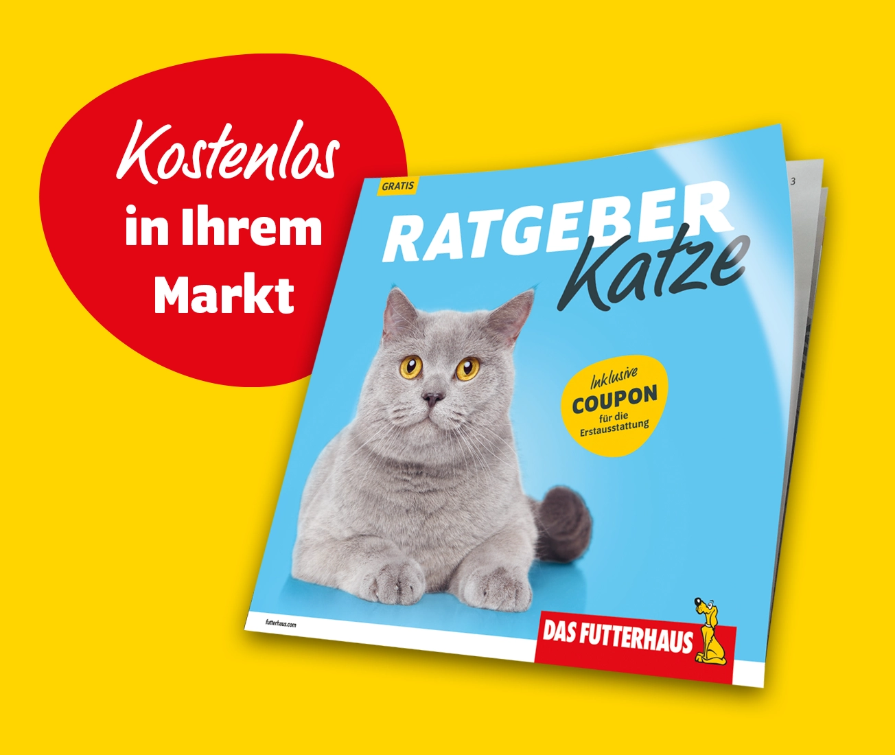 RatgeberKatze_Markt