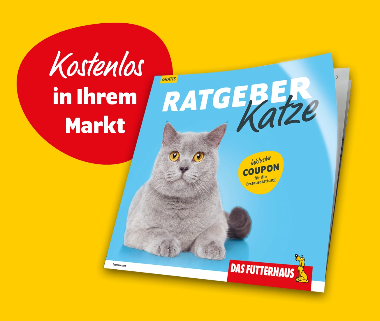 Ratgeber Katze