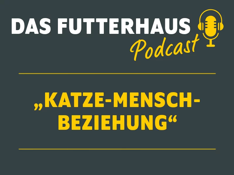 DAS Futterhaus Podcast Katze Mensch Beziehung