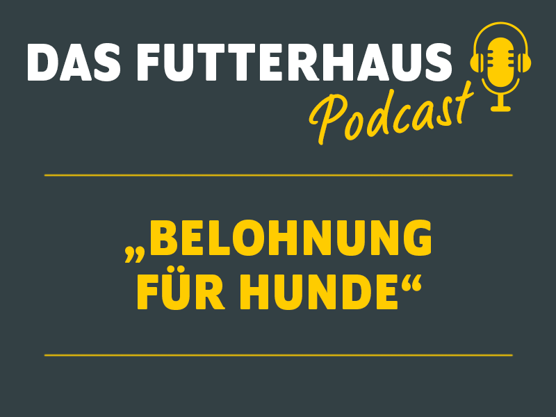 DAS Futterhaus Podcast Belohnung für Hunde