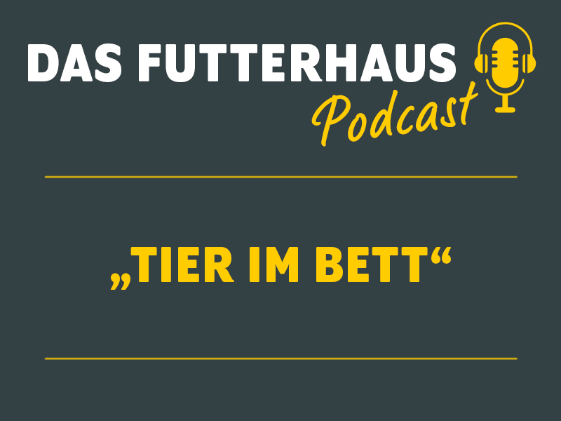 Podcast Tier im Bett