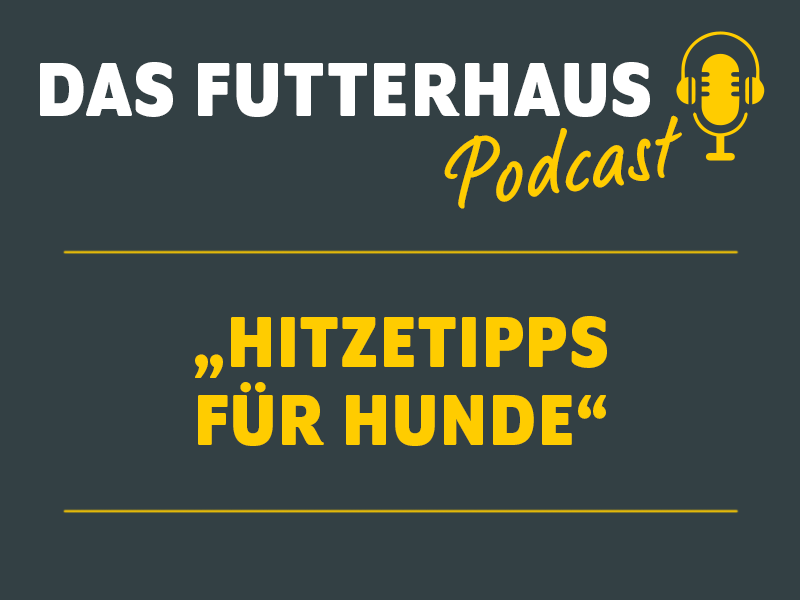 DAS Futterhaus Podcast Hitzetipps für Hunde