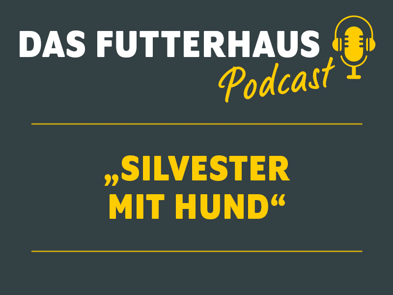 DAS Futterhaus Podcast Silvester mit Hund