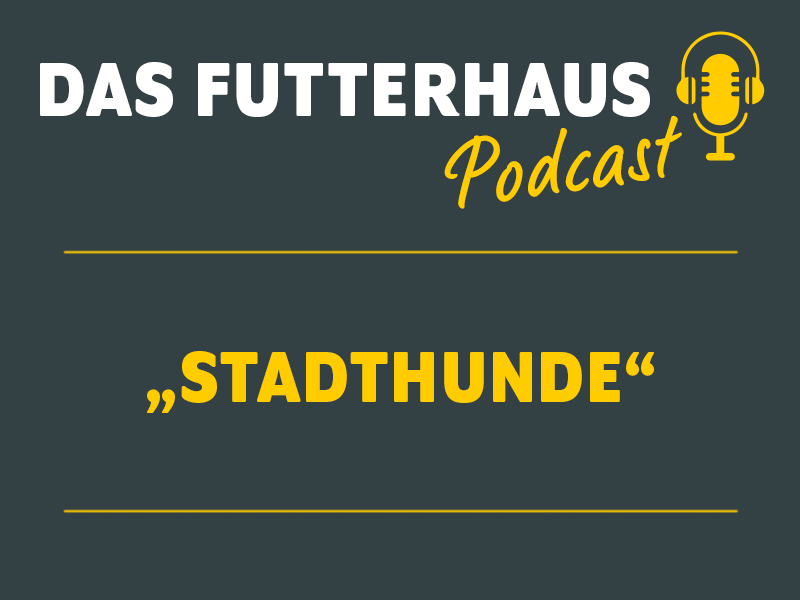 DAS Futterhaus Podcast Stadthunde