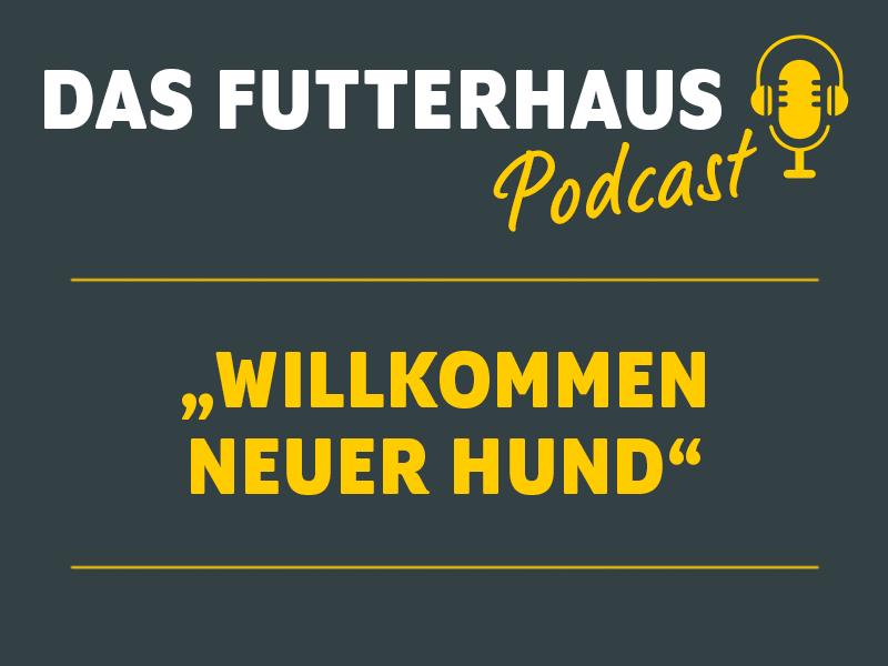 DAS Futterhaus Podcast Willkommen neuer Hund