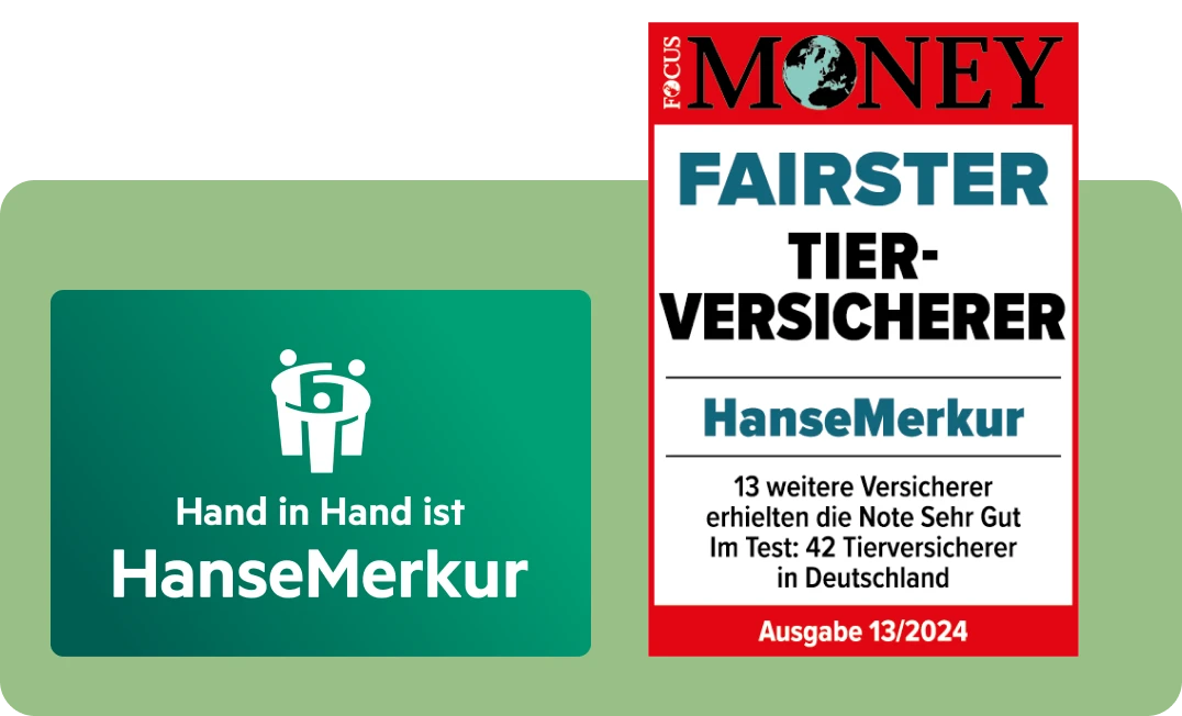 HanseMerkur Versicherung